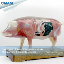 A07 (12006) modelos de acupuntura anatômica de porco do veterinário plástico 12006